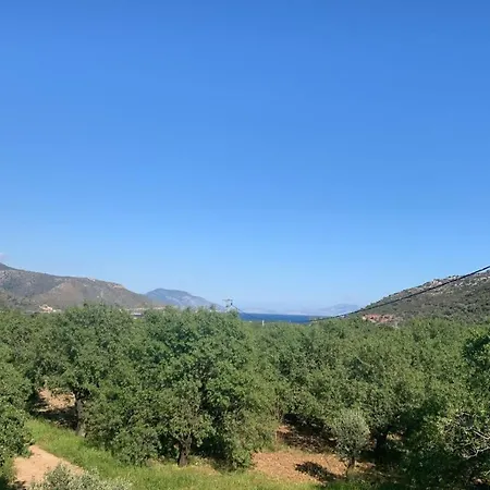 Cozy House With Sea View, Balcony And Terrace In Datca, Mugla * Palamutbükü